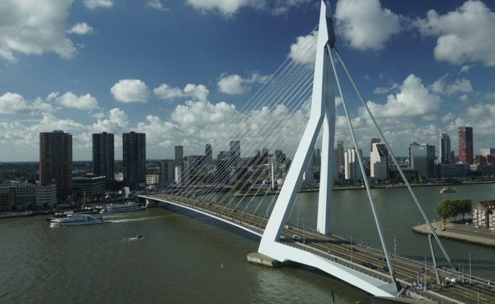 Rotterdam – Gestählter Schwan am Wilhelminapier 