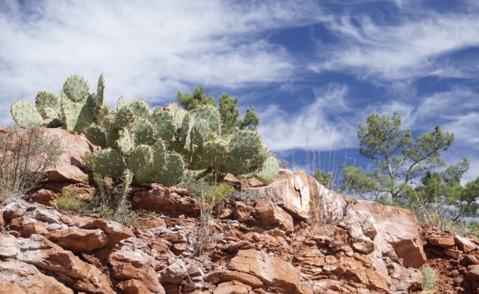 Tag 25 – Ausflug nach Sedona und Nachtprogramm: Von Flagstaff nach Los&nbsp;Angeles