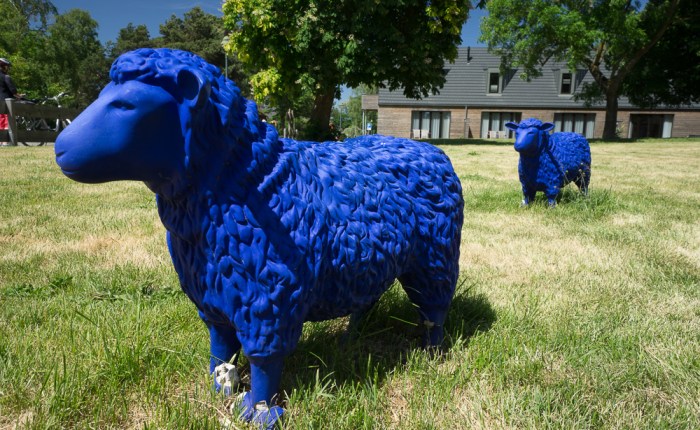 Umweltfotofestival in Zingst