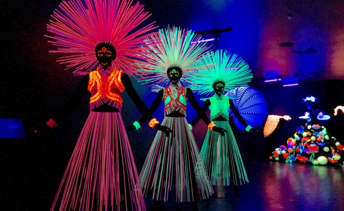 Tag 21 – Nelson: Tragbare Kunst zum&nbsp;Abheben