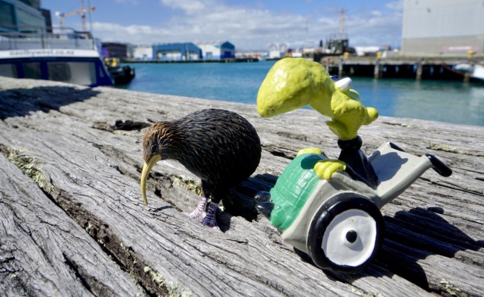 Tag 13 – Von Napier in die Hauptstadt: Windy&nbsp;Welly