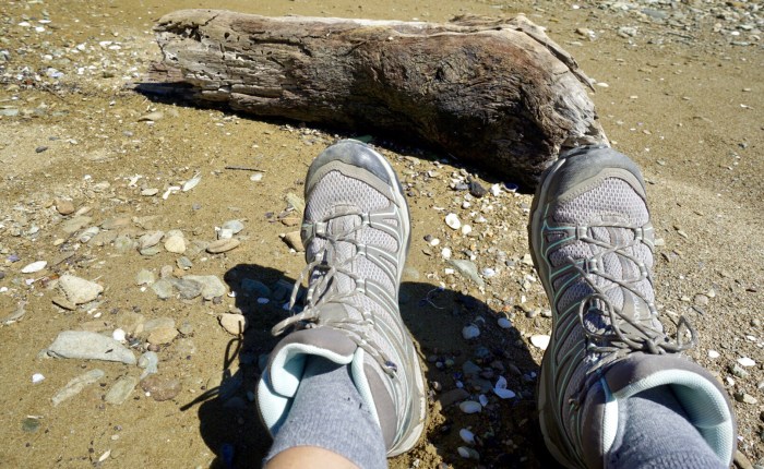 Tag 17 – Picton: Auf königlichen&nbsp;Pfaden