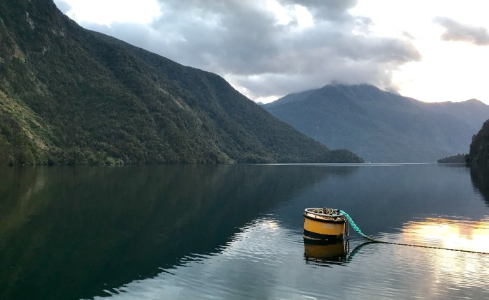 Tag 25 – Te Anau/ Doubtful Sound