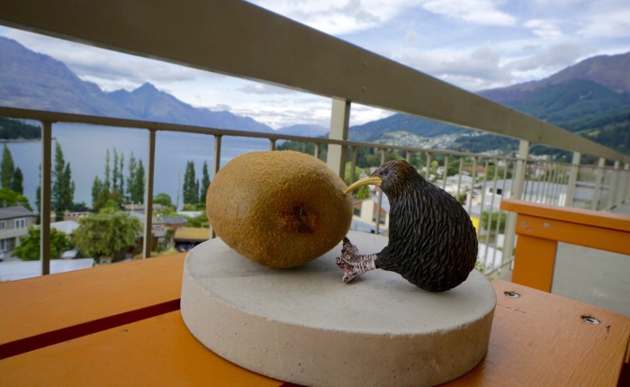 Kurzes Lebenszeichen