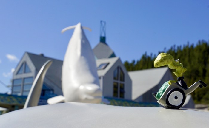 Tag 22: Tadoussac – Wa(h)lverwandschaften