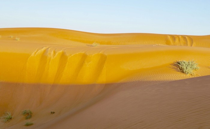 Tag 4: Rub Al-Khali – In die Wüste&nbsp;geschickt