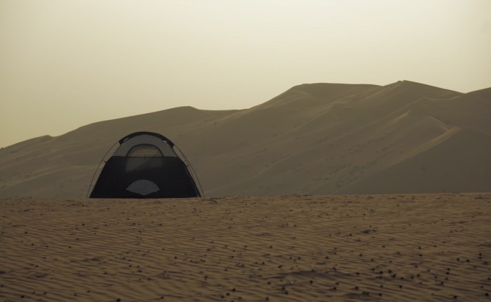 Tag 9: Rub Al-Khali – aufs Kamel&nbsp;gekommen