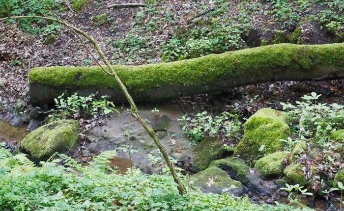 Tag 1: Sächsische Schweiz – Erste&nbsp;Eindrücke