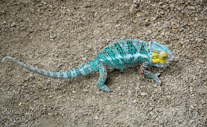 Tag 1: Leipzig – Zentrum, Zoo und Rooftop&nbsp;Bar