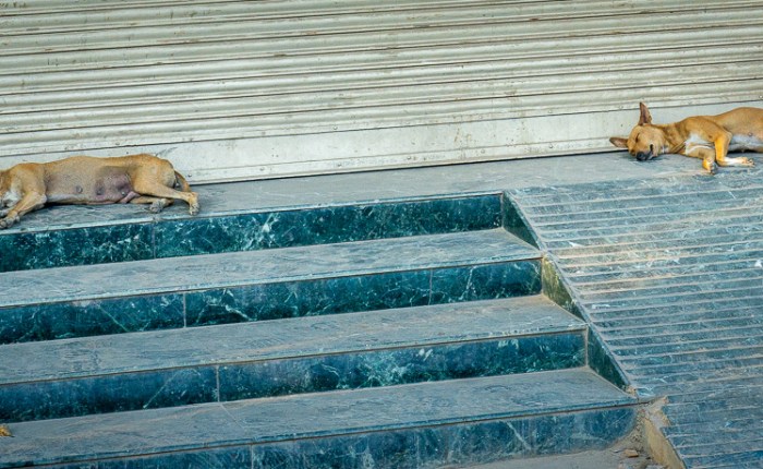 Tag 11: Khajuraho –&nbsp;Varanasi