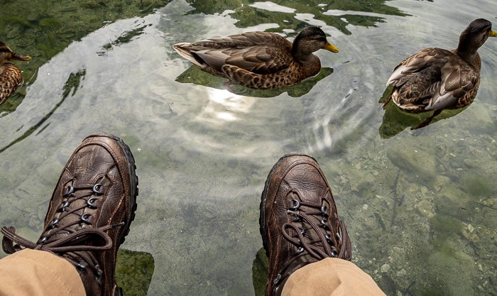 Wednesday Walks –&nbsp;Prolog