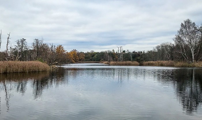 Wednesday Walks: 2 – Von Lübars durch die Eichwerder&nbsp;Moorwiesen