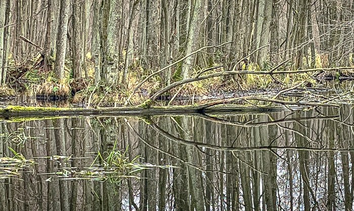 Wednesday Walks: 5 – Durchs&nbsp;Briesetal