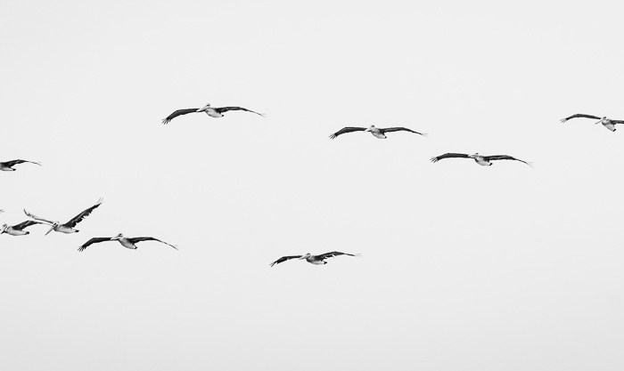 San Francisco – Auf dem&nbsp;Abflug