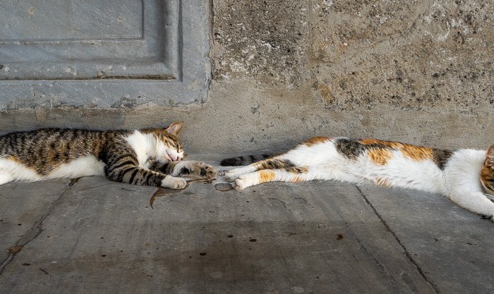 Istanbul  – Von Kontinent zu&nbsp;Kontinent