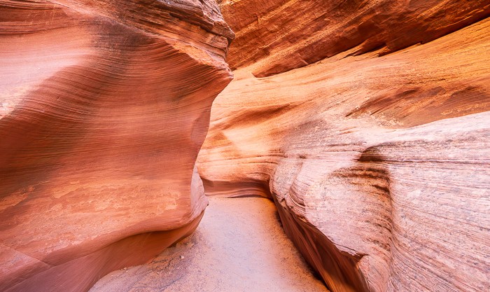 Page – Von Hufeisen und&nbsp;Antilopen