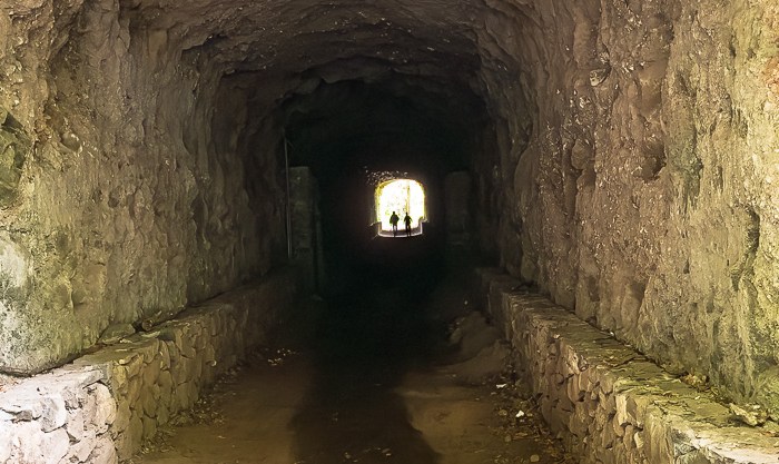 La Palma – In den Tiefen des&nbsp;Waldes